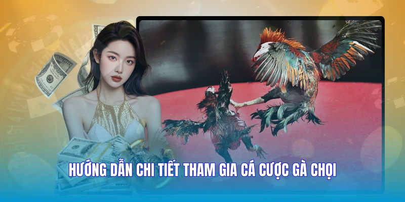 Hướng dẫn chi tiết tham gia cá cược gà chọi