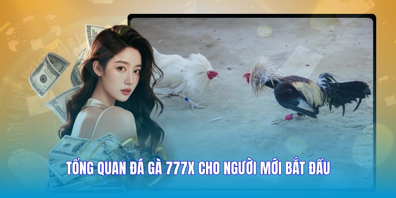 Tổng quan đá gà 777X cho người mới bắt đầu